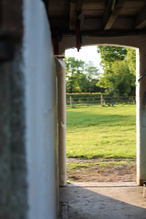 The Jockey Room Hideaway Spurstow Екстериор снимка