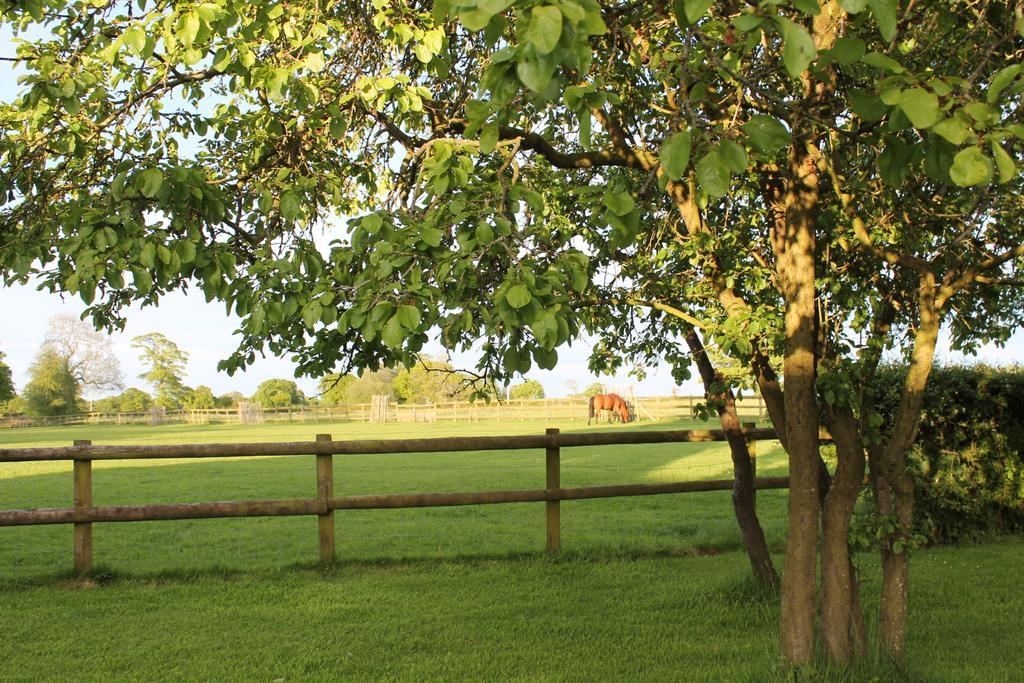 The Jockey Room Hideaway Spurstow Екстериор снимка